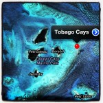 De Tobago Cays: blauw, blauwer, blauwst...
